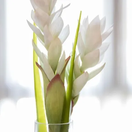 Alda Hospedería De Reyes Toledo