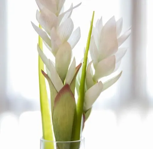 Alda Casa De Reyes Toledo