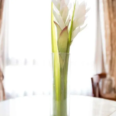 Alda Casa De Reyes Otel Toledo