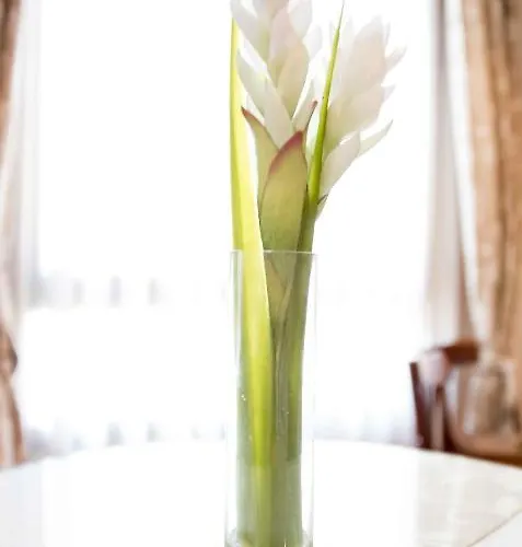 Alda Casa De Reyes 酒店 托萊多